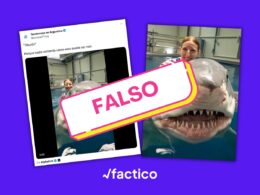 Este video de una mujer jugando con un tiburón no es real